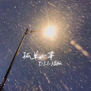 孤单心事（DJ小瑞版）