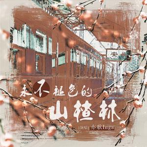 《永不褪色的山楂林》同人曲——致秦阳