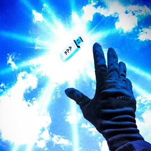 étude n°1202 : baleines