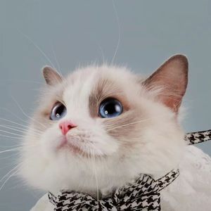 大海(柯柯)_Asia(1)