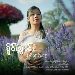 မိူဝ်းသွၼ်ႈႁူမ်ႈႁၵ်ႉၽႂ် ၊ ယိင်းၼွင်ႉ