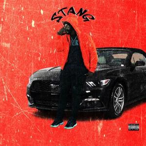 Stang