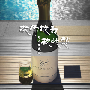 敬你敬我敬忧愁