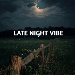 Late Night Vibe