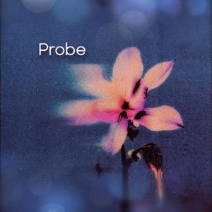 Probe