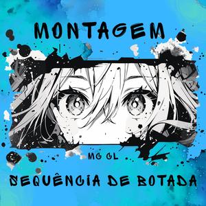 MONTAGEM - SEQUÊNCIA DE BOTADA