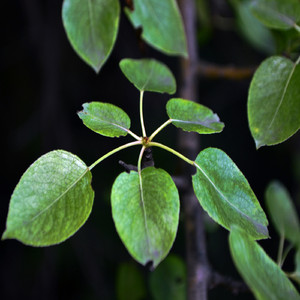 Beautiful House (Original Mix)