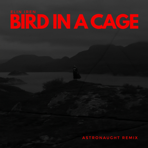 Bird in a cage (Remix)