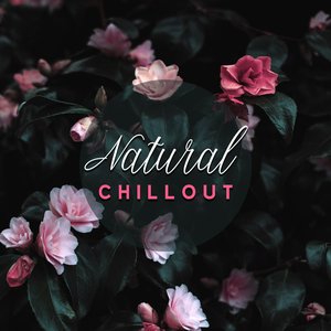 Gentle Rain & Spring Birds