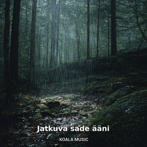 Jatkuva sadeääni unta ja rentoutusta varten, Pt.18