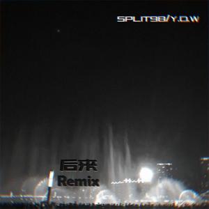 刘若英-后来（Y.D.W / SPLIT98 remix）