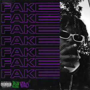 Fake