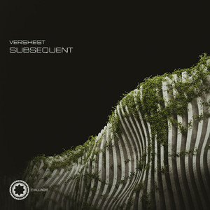 Subsequent (Original Mix)