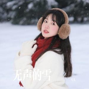 无声的雪
