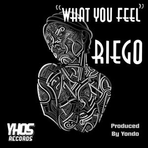 What You Feel
