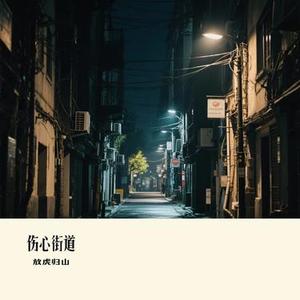 伤心街道（Cover 白小白）