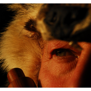 L'appel Du Loup (The Call of the Wolf)