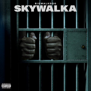 Skywalka