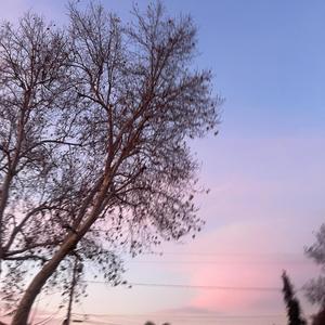 DOES SHE REALLY WANT ME?