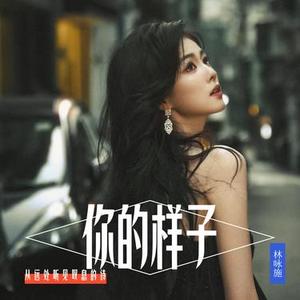 你的样子 (粤语女声版)
