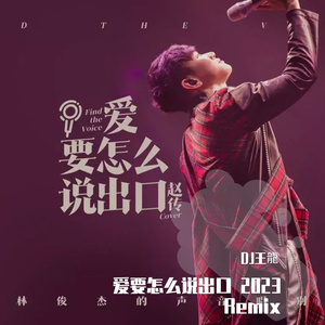 爱要怎么说出口 2023 Remix (王龍Bootleg）