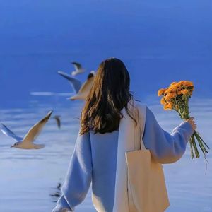 新年的憧憬与问候