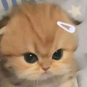 HANDWARMERS (feat. SPACE VU)