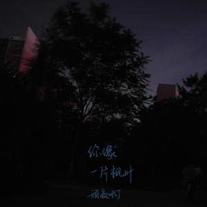 你像一片枫叶(Demo)