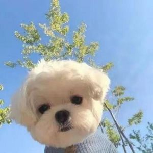 消愁