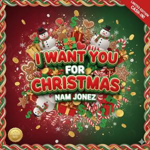 I Want You For Christmas