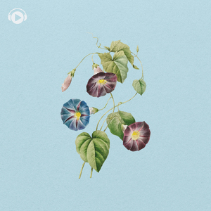 浜辺のココロ (feat. Uii)