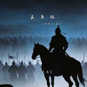 真英雄（劲爆dj版）