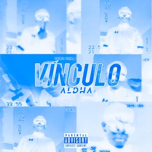 Vínculo