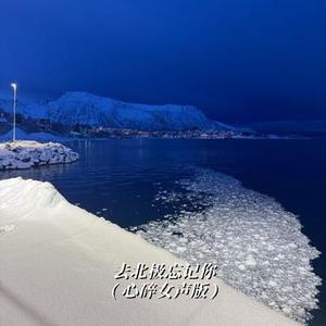 去北极忘记你 (心碎女声版)