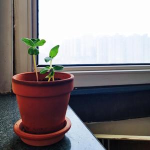 《我们见面吧》demo