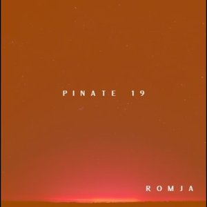 Pinate 19