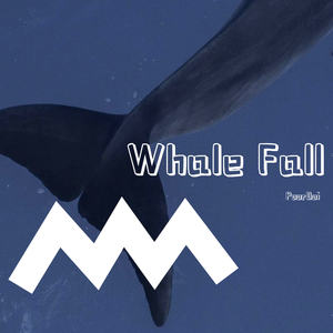 Whale Fall（prod by. CHXX）