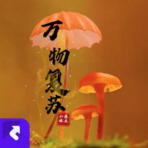 万物复苏 (DJ版)