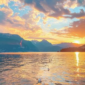 阳光温暖旧时光