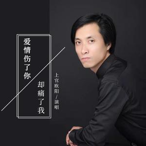 爱情伤了你却痛了我