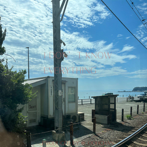 다 알진 못해도