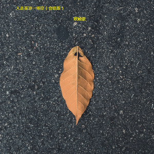 人走茶凉一场空 (合唱版)