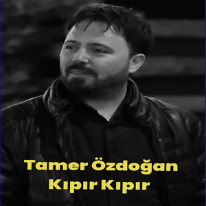 Kıpır Kıpır