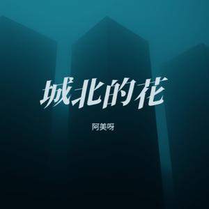 城北的花 (城北的花开了几个冬夏)