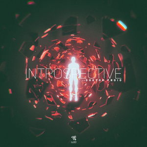 Introspective (Original Mix)