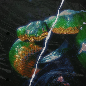 【FREE】蛇亚目 - Digi ghetto Trap Type Beat