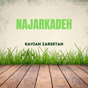 Daami Baraye Parandeh