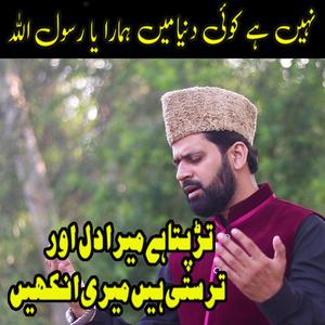 Pukaro ya rassol allha