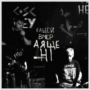 Sailor Moon-tyan/Пьяная Шваль (Live)