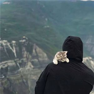 戒不掉的思念DJ